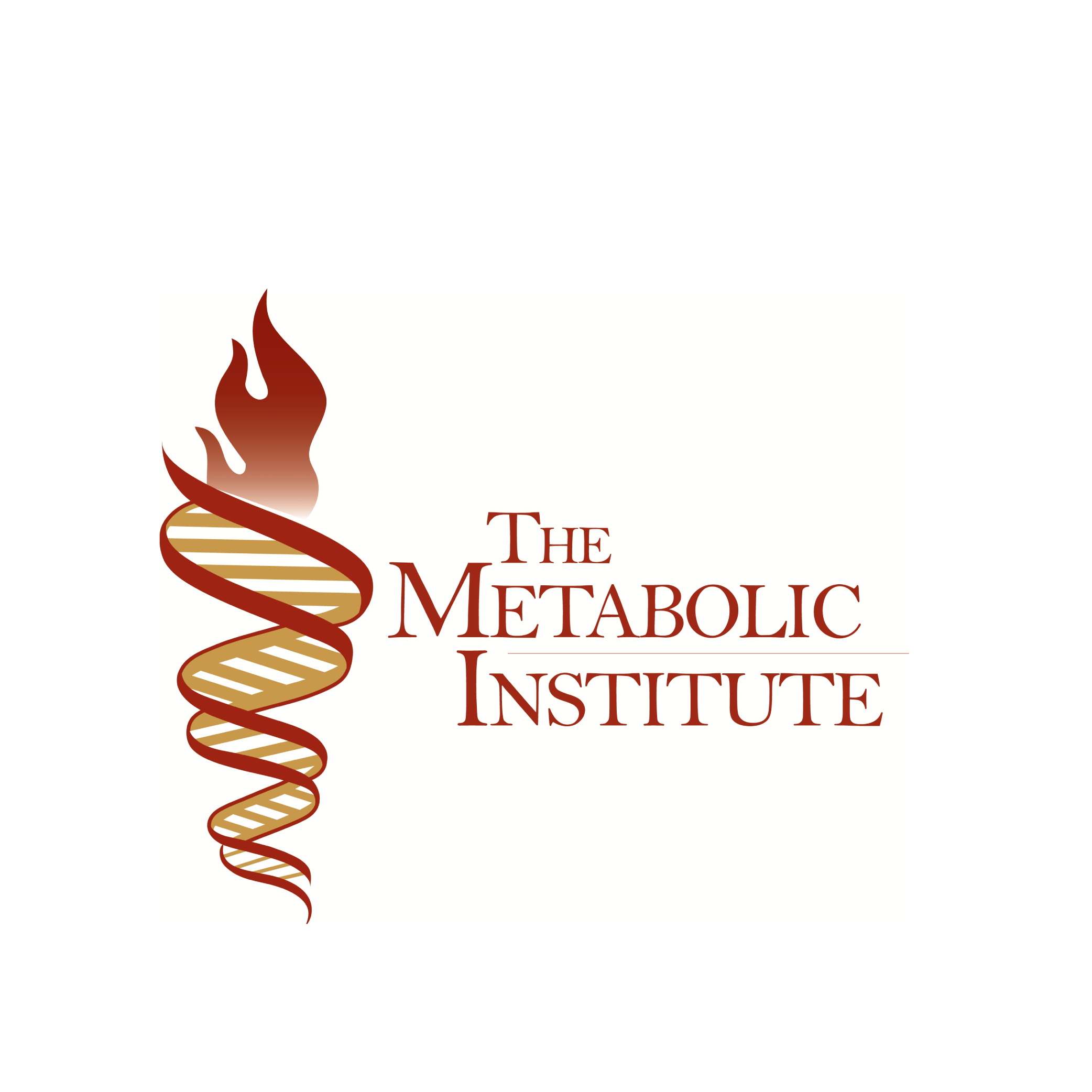 metabolic institute 01